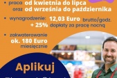 grafika