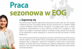 grafika